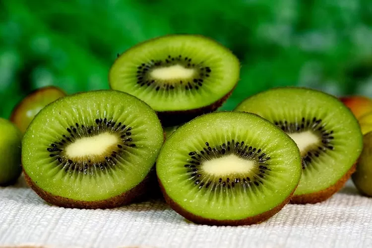 Sejarah Buah kiwi